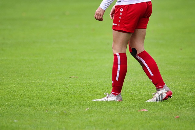 背景为基石 背景为基石