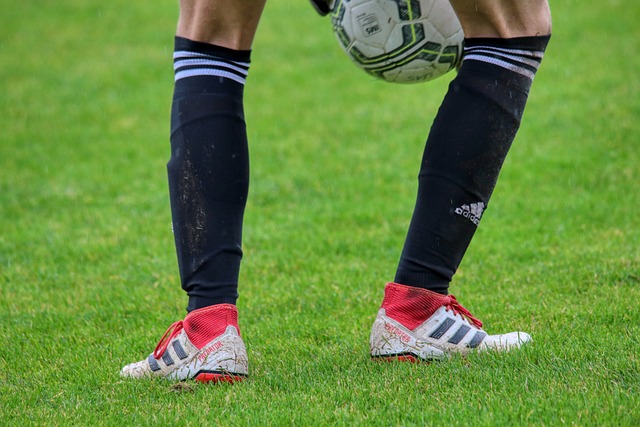 分让球迷们 分让球迷们