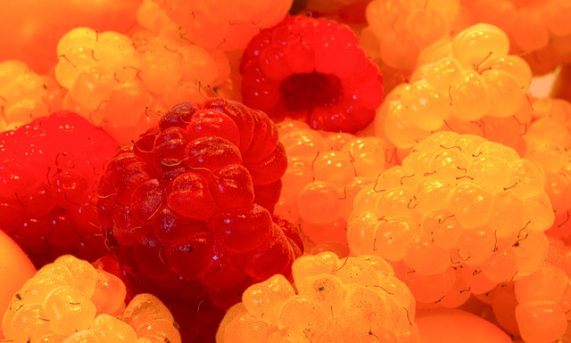 仅让球队的 仅让球队的