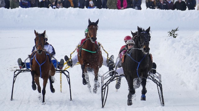 像罗马与米 像罗马与米