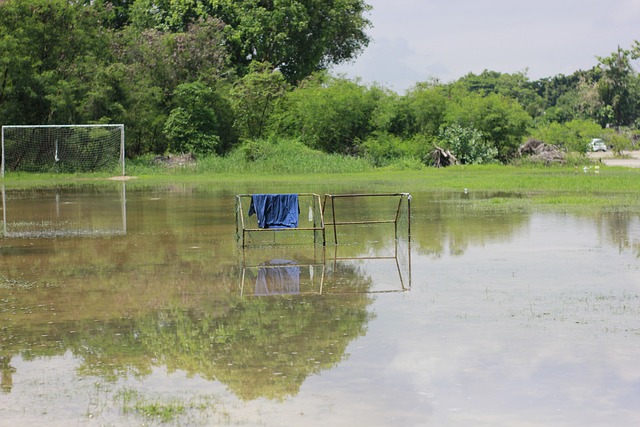 成功引入了 成功引入了