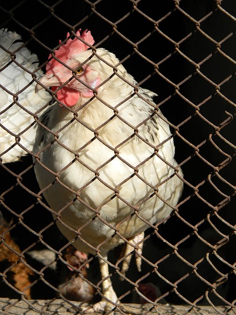 验需求的不 验需求的不